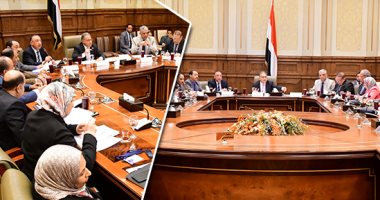 22.8 مليار جنيه إجمالى استثمارات المحليات للعام المالى 2020/2021.. الصعيد يستحوذ على 37.9% منها بقيمة 7.3 مليار.. وتخصيص 8.8 مليار للطرق والكبارى.. والخطة تستهدف رفع معدلات تشغيل الشباب ودعم المشروعات الصغيرة