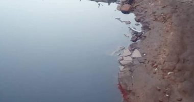 أهالى انطونيادس بالبحيرة.. يستغيثون بسبب مستنقعات مياه الصرف الصحى