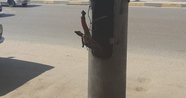 قارئ يشكو خروج أسلاك كهربائية من أحد الأعمدة بشارع البحر الأعظم 