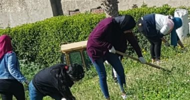 إزالة ألف متر حشائش عن منطقة "كوم الناضورة" لتجميل المواقع الأثرية بالإسكندرية