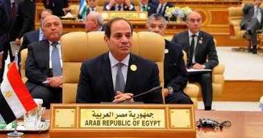 إعلامى موريتانى يشيد بنجاح الرئيس السيسى فى قيادة العمل الإفريقى