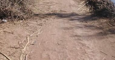 أهالي زفتى يشكون بسبب تدهور طريق عزبة شعيب