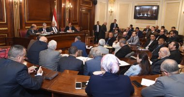 صور.. النائب سمير البطيخى يطالب بإعادة النظر فى سعر تعريفة الكهرباء للمصانع