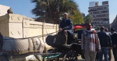 رئيس مدينة الأقصر: نواصل حملات "إمسك حنطور" لضبط المخالفات ولردع الجميع