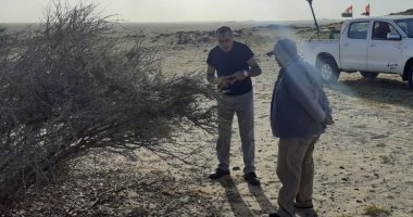 الزراعة: تكافح الجراد بـ7 مناطق حدودية..وتؤكد استمرار عمليات المسح.. فيديو