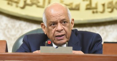 البرلمان يبدأ مناقشة "الكيانات الإرهابية".. وأبوشقة: الإرهاب صناعة عقول شريرة