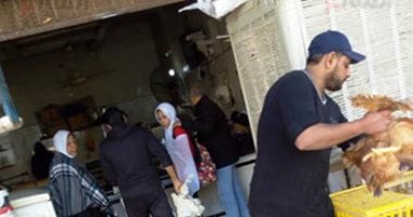 الوادى الجديد بدون مجازر للدواجن.. "الطب البيطرى" يسمح للرياشات بالذبح بعد نقل الطيور من المزارع بتصاريح خلوها من الأمراض.. وأصحاب الرياشات: نلتزم بتعليمات المديريات البيطرية.. والأهالى يطالبون بتشغيل المجازر