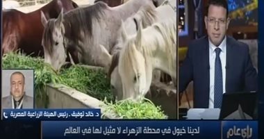 "الزراعة" تعلق على هاشتاج أنقذوا محطة الزهراء للخيول: 28 رأسا نفقت فقط.. فيديو