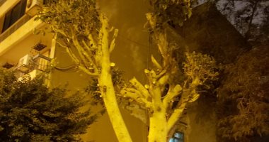 قارئ يشكو قطع الأشجار بشارع محمد فريد الحى المتميز بـ6 أكتوبر .. صور