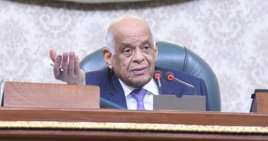 مطالب برلمانية للحكومة بخطة للنهوض بزراعة القطن ودعم أسعار المنتجات الزراعية