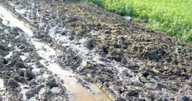 أهالى قرية عبدالجواد بمحافظة كفر الشيخ يطالبون برصف الطريق