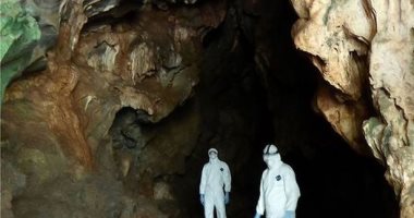 قصة كهف غامض للخفافيش قد يكون السبب فى انتشار كورونا.. صور