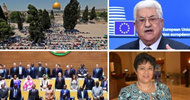 المستشارة القانونية للاتحاد الأفريقى: القارة السمراء ترفض خطة ترامب وتؤكد القدس عاصمة لفلسطين.. و"الاتحاد" يدعم حق العودة ويدين ممارسات الاحتلال خاصة الاستيطان.. نميرة نجم: نؤيد التسوية فى إطار القانون الدولى