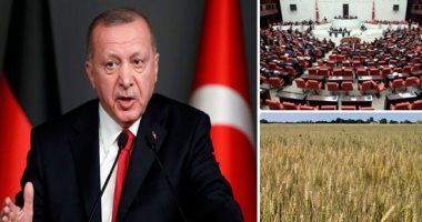 معارض تركى: حكومة حزب العدالة والتنمية بقيادة اردوغان تناقض نفسها