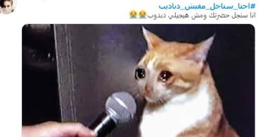 "إحنا سناجل مفيش دبابيب".. تغريدات العزاب تكشف حالاتهم في عيد الحب
