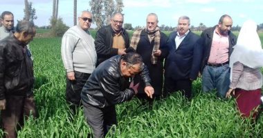 "زراعة الشرقية" تنظم ندوات للفلاحين لترشيد استخدم المياه فى زراعة القمح
