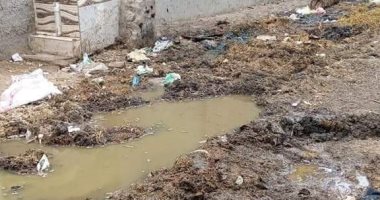 "سيبها علينا".. شكوى من نقص الخدمات بقرية البلامون فى الدقهلية
