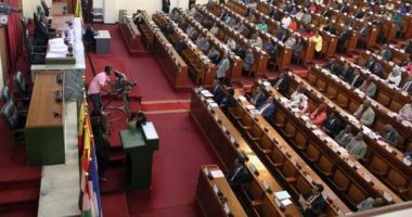 إثيوبيا ترجئ الانتخابات البرلمانية أسبوعين حتى 29 أغسطس