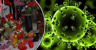 كورونا يضرب احتفالات الفالنتين فى الصين.. تراجع مبيعات الزهور 90%