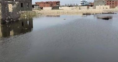 "سيبها علينا".. تجمعات كثيفة لمياه الأمطار والصرف بقرية الحماد بكفر الشيخ