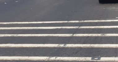 محافظ القليوبية يأمر بإنشاء مطبات صناعية بقرية كفر عامر ورضوان.. صور