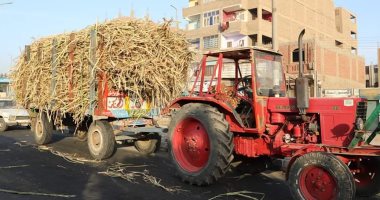 محافظ قنا يصادر جرار قصب لمخالفته قواعد المرور فى دشنا