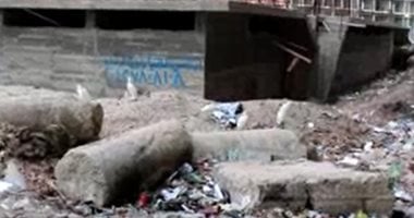 20 أسرة بالرياض فى كفر الشيخ يطالبون بوقف فصل الحد بغرب أرض سوق المواشى