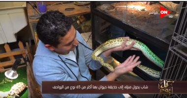 "فى بيتنا سلاحف وثعابين".. شاب يربى 65 نوع من الزواحف..ويؤكد: ممتعة وغير مكلفة