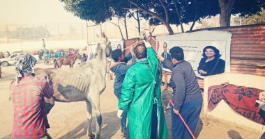 إنجاز 90%من المستهدف بحملات التحصين ضد الحمى القلاعية والوادى المتصدع بأسيوط