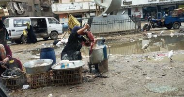 هل يمكن فرض غرامة على الذبح العشوائى للطيور فى الشوارع؟