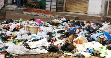 أهالى قرية دميره بالدقهلية يشكون انتشار القمامة والناموس