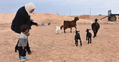 نائب محافظ مطروح: فتح فصول محو أمية لتعليم الفتيات بالقرى والتجمعات البعيدة