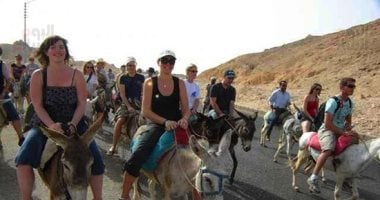 "سفارى الحمير".. متعة السياح بين الزراعات والآثار فى الأقصر