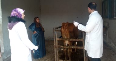 قوافل جامعة القناة تعالج 655 حالة بيطرية بالمجان بعين غصين بالإسماعيلية