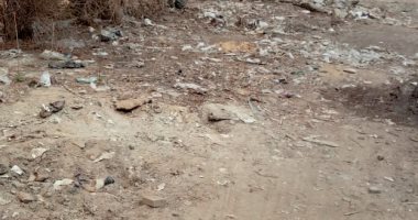 "سيبها علينا".. قارئة تناشد المسئولين رصف طرق الحى الكندى بصقر قريش بالمعادى
