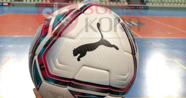 اتحاد الكرة يسلم 50 كرة موحدة لكل ناد بالدورى