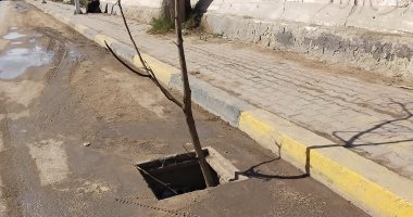 شاهد اختفاء أغطية بالوعات الأمطار واستبدال الأغطيه بجذوع أشجار يهدد بكارثة فى المحلة