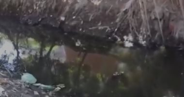 قارئ يشكو من عدم وجود شبكة صرف صحى بقرية زاوية جروان بالمنوفية