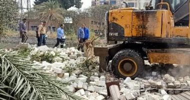 إزالة 295 حالة تعدى على أراضى الدولة بالشرقية.. صور