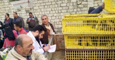 محافظ البحيرة عن توزيع 20 بطة كـ"قروض": خطوة لمواجهة البطالة (صور)
