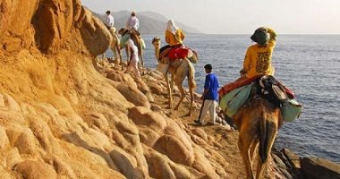 لو رايح رحلات سفارى.. 3 أبراج بتستمتع بالصحراء ممكن تاخدهم معاك