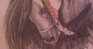 "كاريمان" تشارك بلوحات برسومات مميزة باستخدام القلم الرصاص والألوان