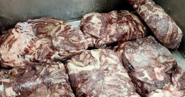ضبط 25.5 طن دواجن ولحوم مجمدة غير صالحة للاستخدام الآدمي بالشرقية