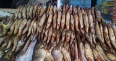 ضبط 6 أطنان رنجة فاسدة داخل مصنع لإنتاج الأسماك المملحة فى الغربية