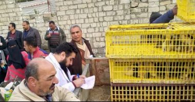 محافظة البحيرة: 425 أسرة استفادت من "قرض البط" والمشروع بدأ منذ عام.. فيديو