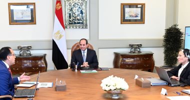 السيسى يوجه بانخراط الشباب والقطاع الخاص فى أنشطة مشروعات وزارة البيئة