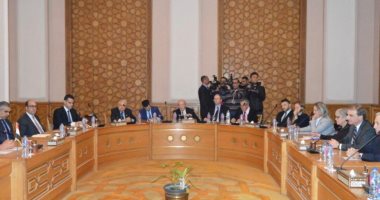 وزير الخارجية يبحث وفد من اللجنة اليهودية الأمريكية عملية السلام فى المنطقة