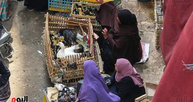 الطيور الحية مصدر الأمراض والأوبئة في أسواق الثلاثاء