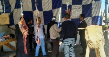 محافظ أسوان يقرر غلق الشوادر العشوائية لبيع اللحوم حفاظاً على صحة المواطنين