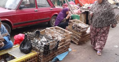 صور.. ذبح الطيور خارج المجازر بالمنوفية.. والمواطنون: نعانى بسبب ضعف الرقابة 